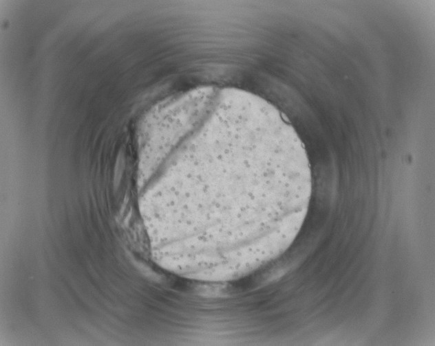 X0000082730089200702232358