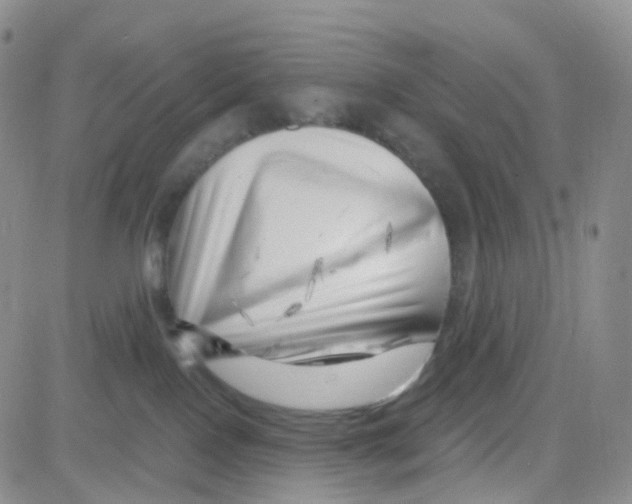 X0000082730090200702232358