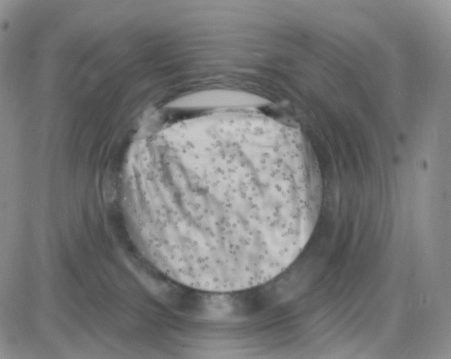 X0000082730091200702232358