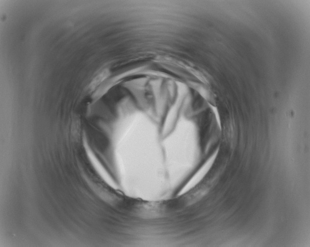 X0000082730092200702232358