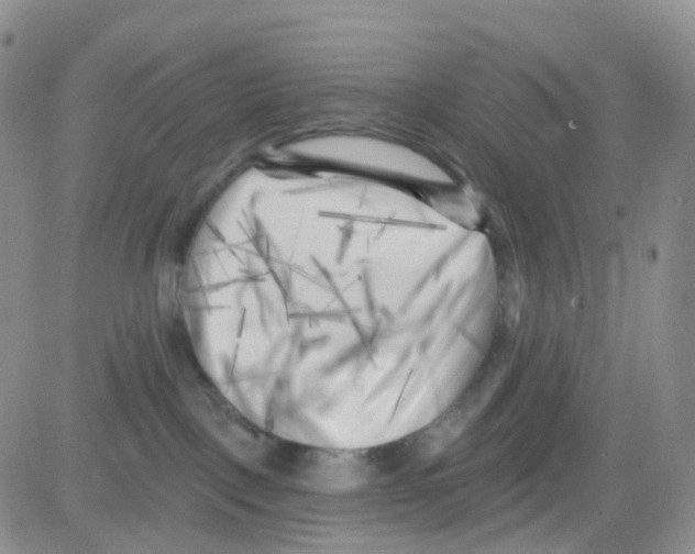 X0000082730093200702232358