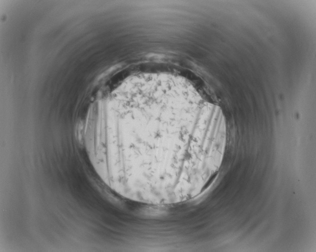 X0000082730094200702232358