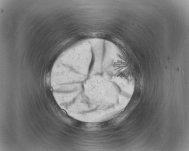 X0000082730095200702232358