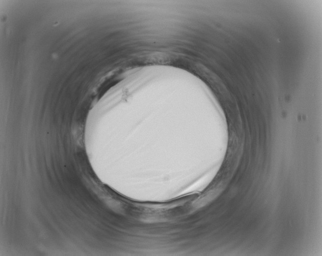 X0000082730096200702232358