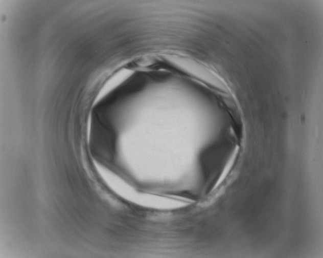 X0000082730097200702232357