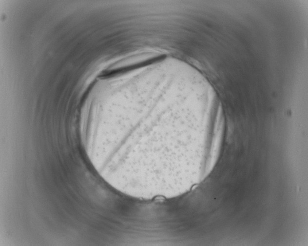 X0000082730098200702232357