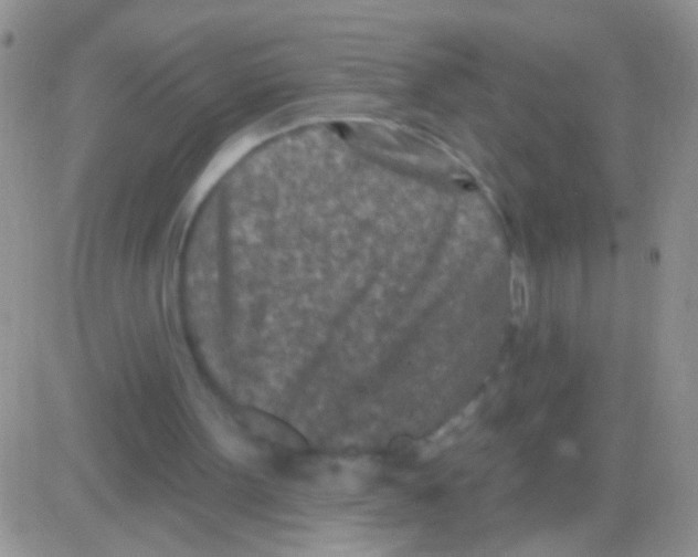 X0000082730099200702232357