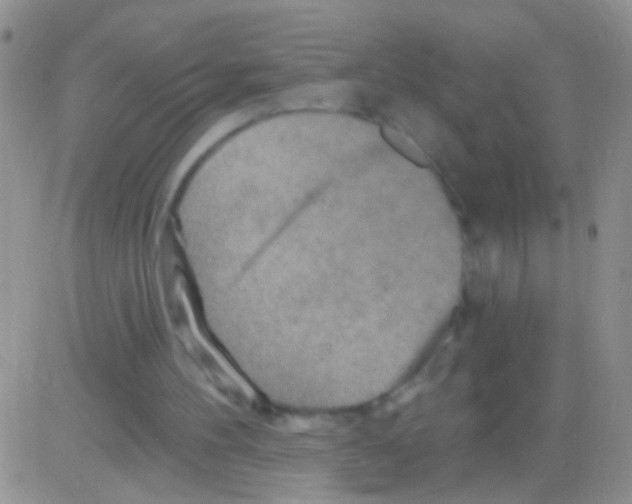 X0000082730100200702232357