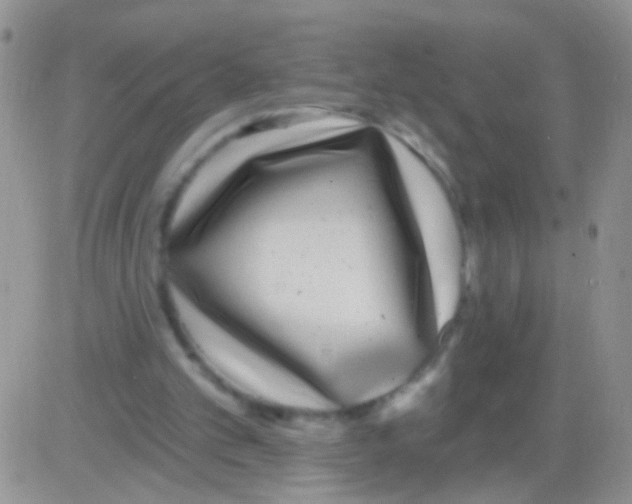 X0000082730101200702232357