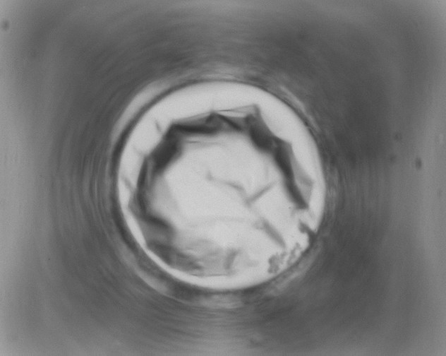 X0000082730102200702232357