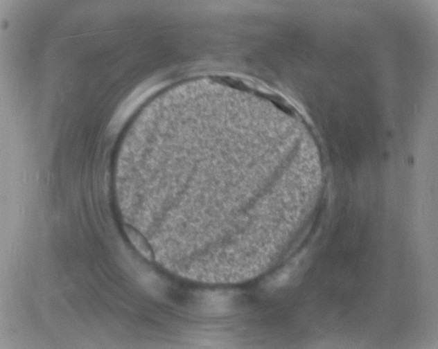 X0000082730103200702232357