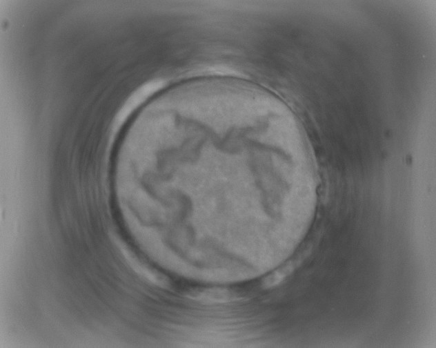 X0000082730104200702232357