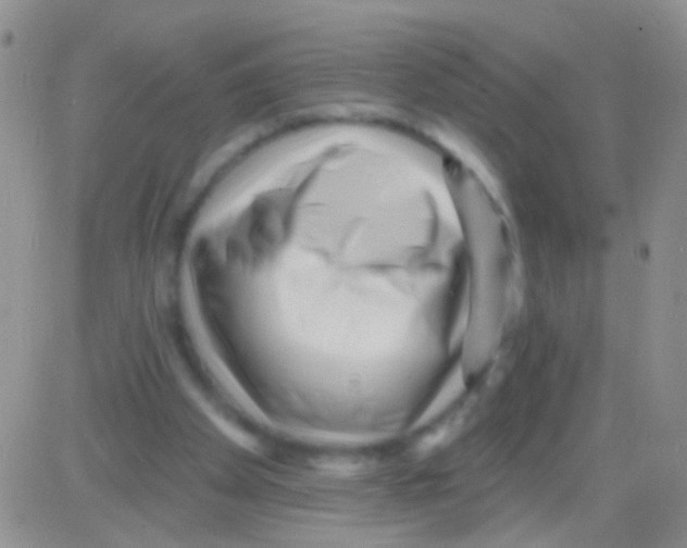 X0000082730105200702232357