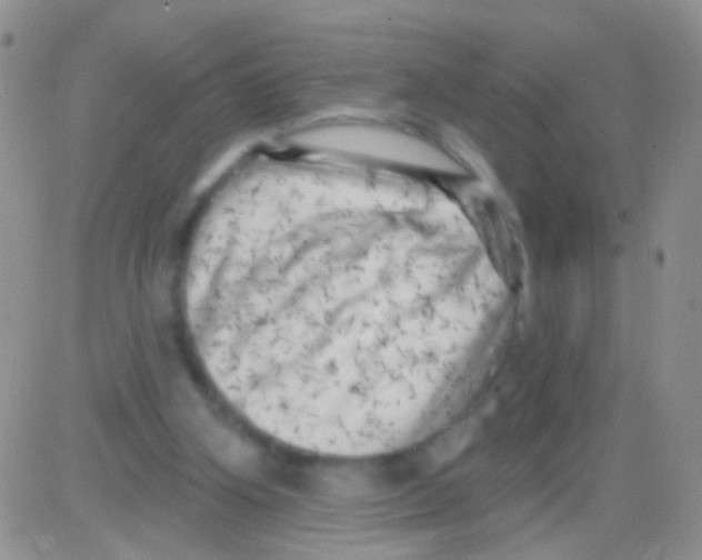 X0000082730106200702232357