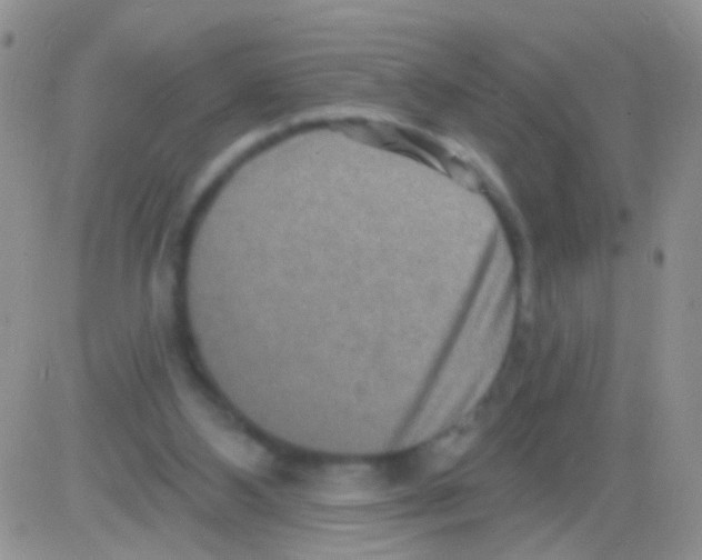 X0000082730108200702232357