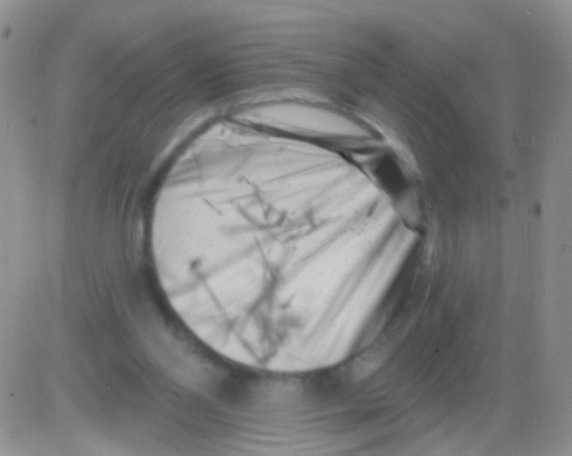 X0000082730110200702232357