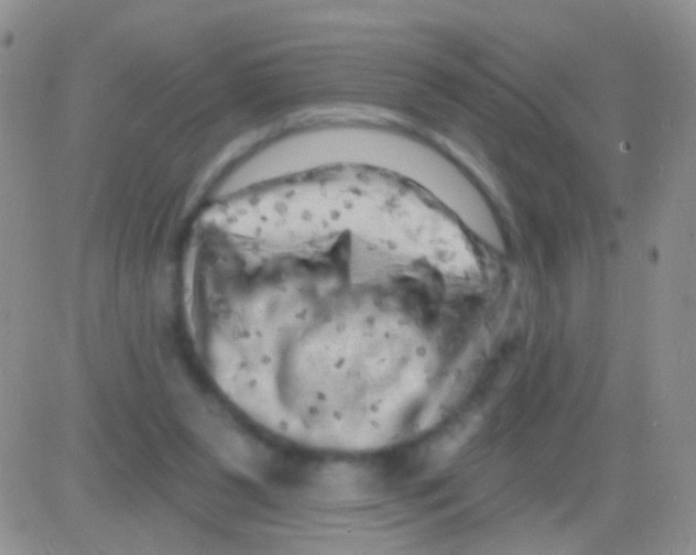 X0000082730111200702232357