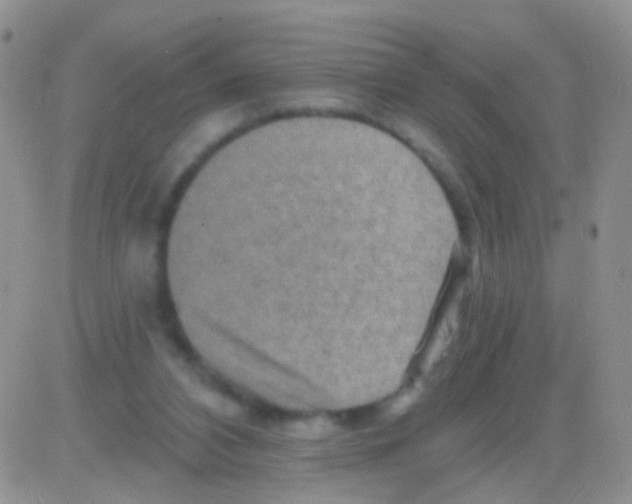 X0000082730112200702232357