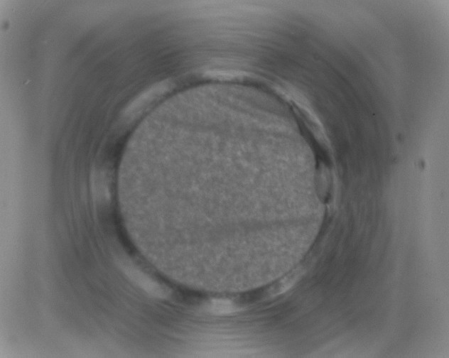 X0000082730114200702232357