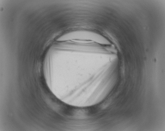 X0000082730115200702232357