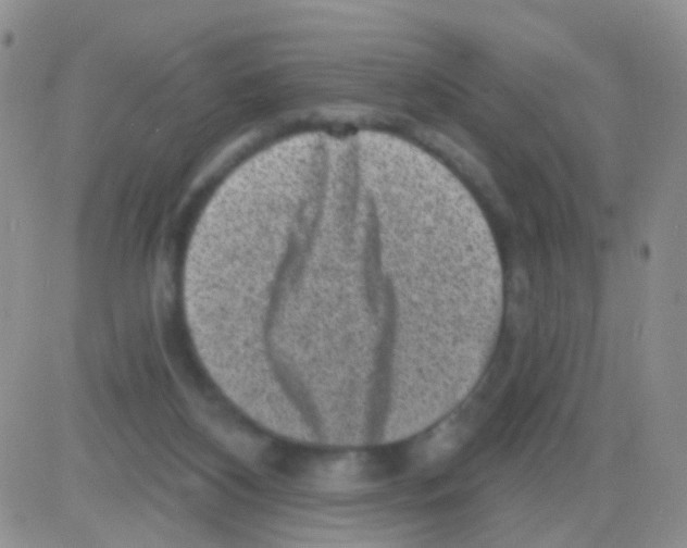 X0000082730116200702232357