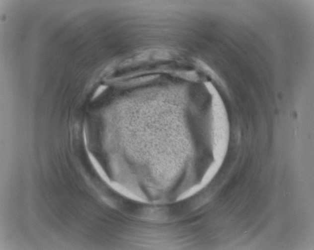 X0000082730117200702232357