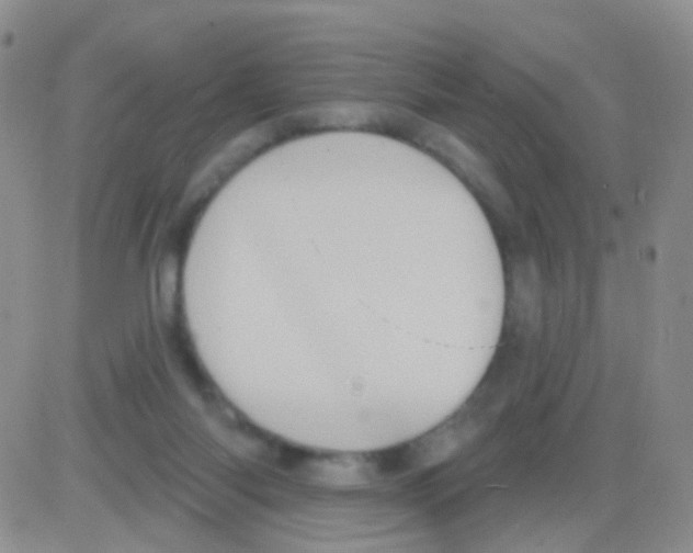 X0000082730118200702232357