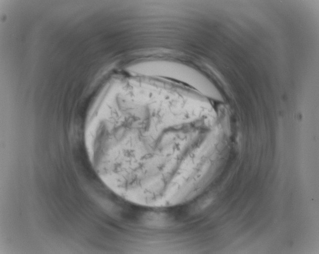 X0000082730119200702232357