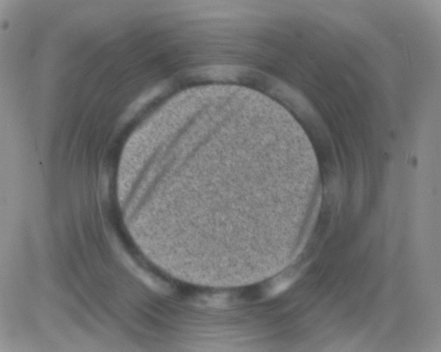 X0000082730120200702232357