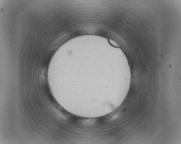 X0000082730122200702232357