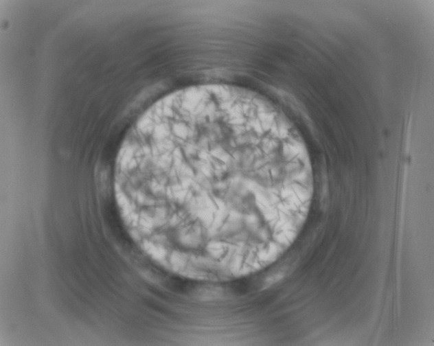 X0000082730123200702232357