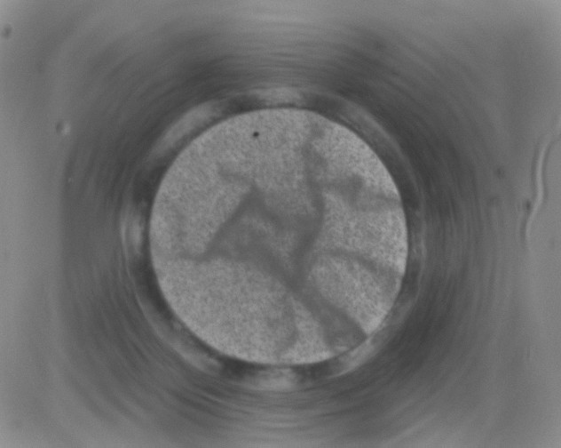 X0000082730124200702232357