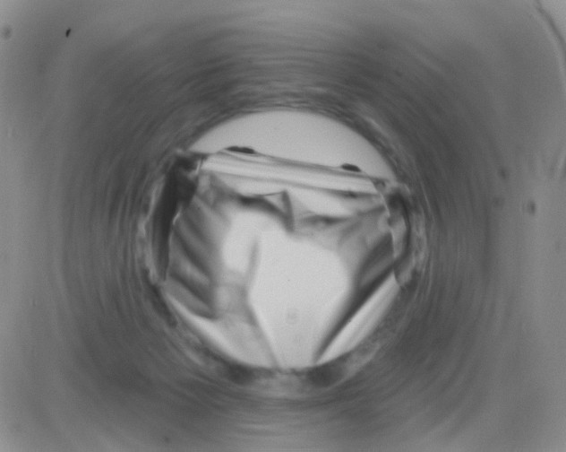 X0000082730125200702232357