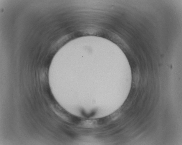 X0000082730126200702232357