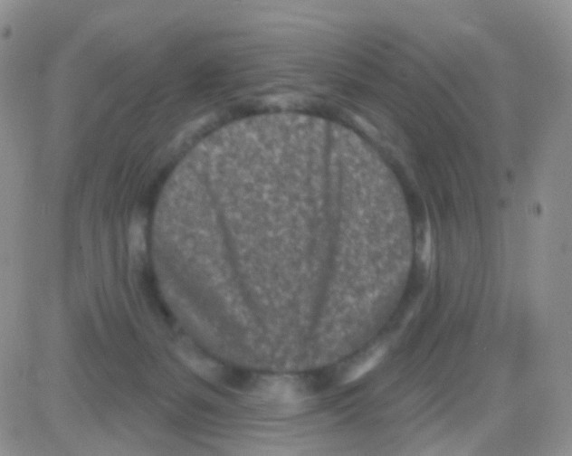 X0000082730127200702232357