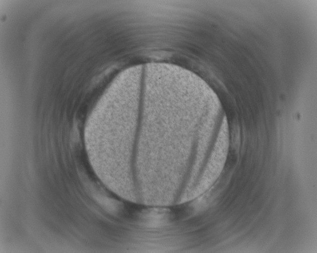 X0000082730128200702232357