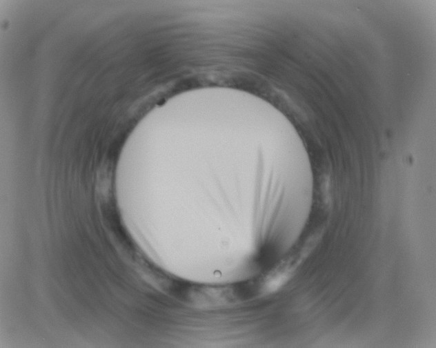 X0000082730129200702232357