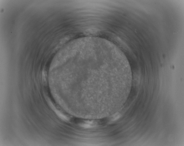 X0000082730130200702232357