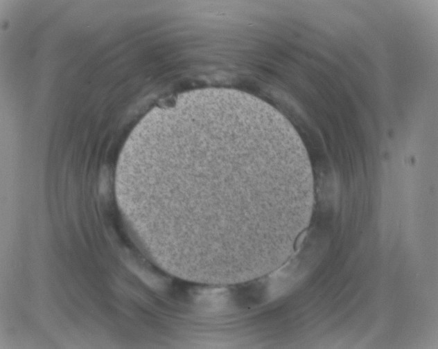 X0000082730132200702232357