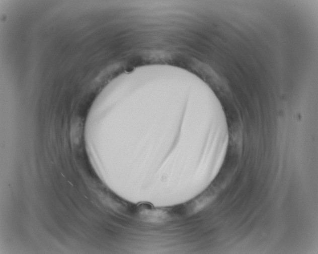 X0000082730133200702232357