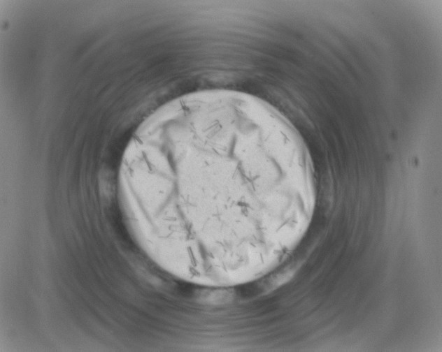 X0000082730135200702232357