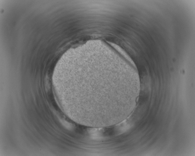 X0000082730136200702232357