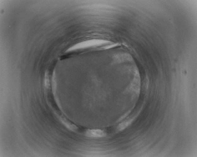 X0000082730137200702232357