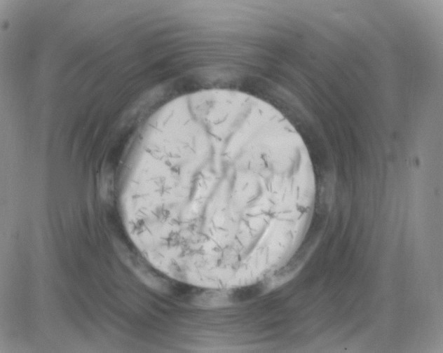 X0000082730138200702232357