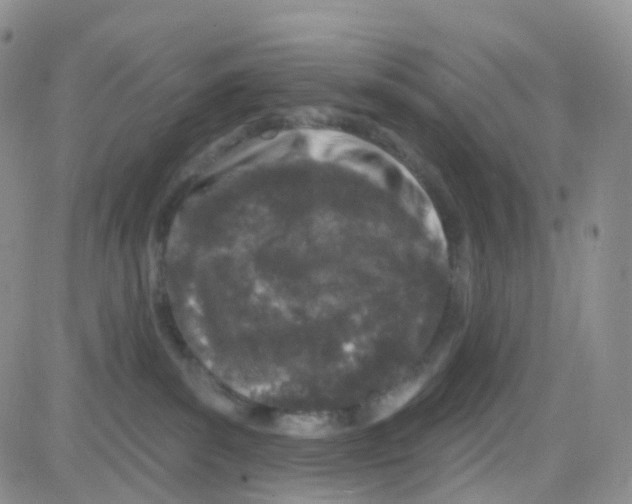 X0000082730139200702232357