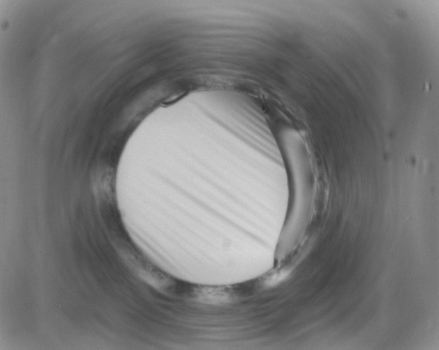 X0000082730141200702232356