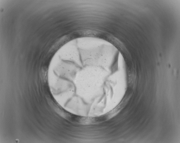 X0000082730142200702232356