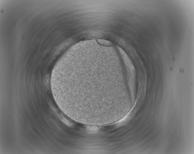 X0000082730144200702232356