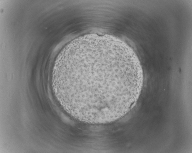 X0000082730145200702232356