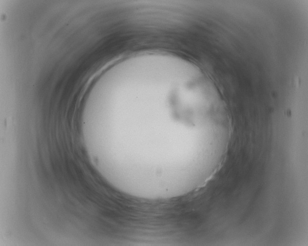 X0000082730146200702232356